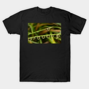 Water Drops with Reflection T-Shirt